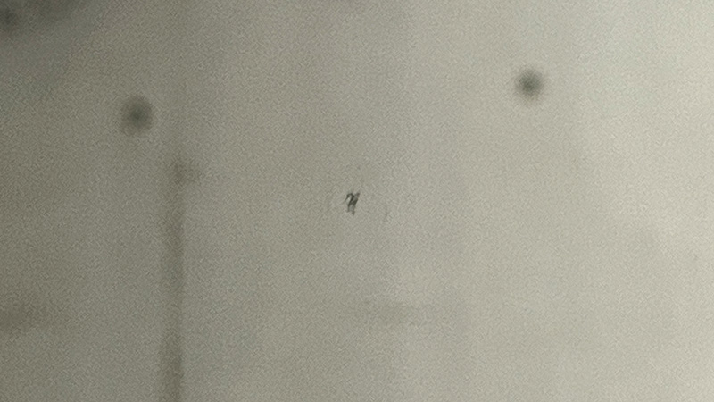 ウィンドウフィルム貼り前のガラス内側の傷（研磨後）